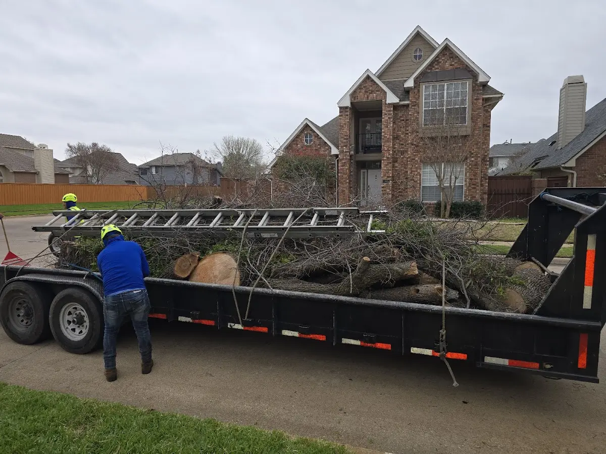 Expert Tree Fertilization with proper safety equipment in Normalville